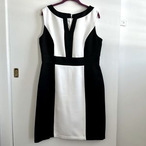 New: Black and White Dress